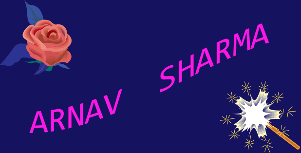 Mr. Arnav Sharma, NMA Hall of Fame member since 2023