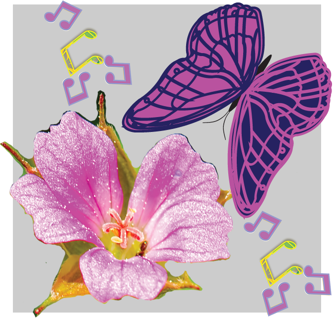 Sam and Rose Licata Memorial Contest at Naperville Music Academy